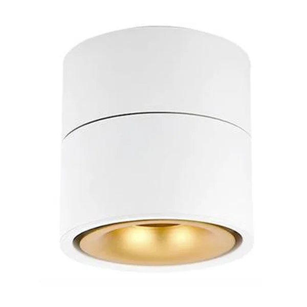 LED Surface Mounted Ceiling Light Foldable and 360 Degree Rotatable COB Background Light