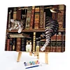 Painting By Numbers - DIY Cat and Books(40*50 CM)