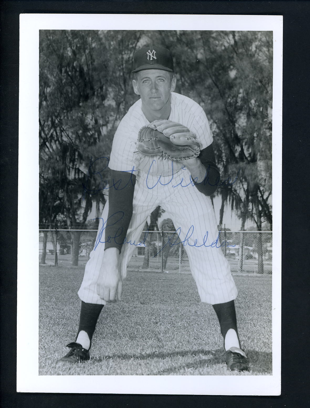 Rollie Sheldon Signed Don Wingfield Press Original Photo Poster painting New York Yankees