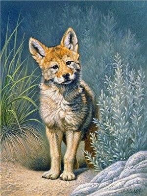 

Swift Fox – Paint By Numbers - 40*50CM, 501 Original