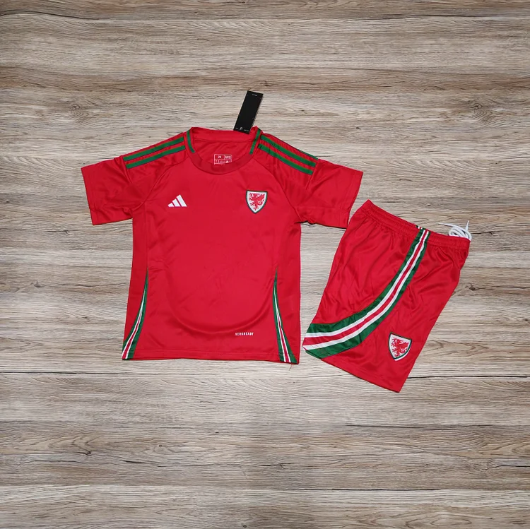 2024-25 Wales Home Shirt - Kids