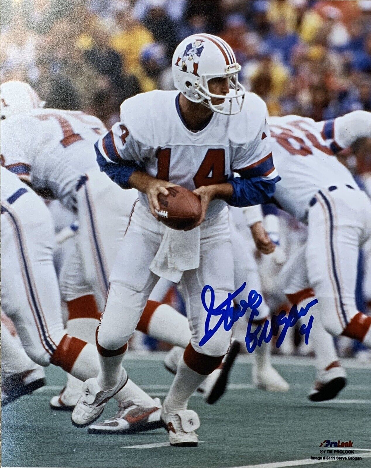 Steve Grogan New England Patriots Quarterback Autographed 8x10 Pose #1