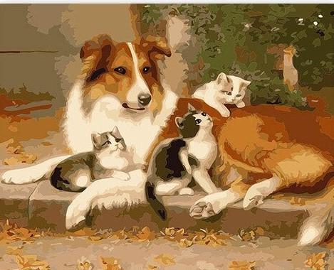 

Dog with kitten – Paint By Numbers - 40*50CM, 501 Original