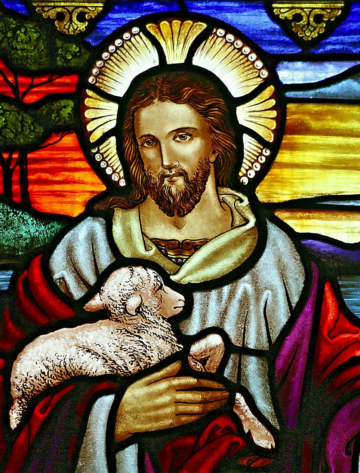 JJESUS CHRIST THE LAMB OF GOD 8.5X11 Photo Poster painting PICTURE REPRINT CHRISTIAN LOST SHEEP