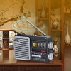 DE808 Multi-functional Portable Radio with Bluetooth, SIM Card, USB Flash Drive, Lighting, and Charging Capabilities