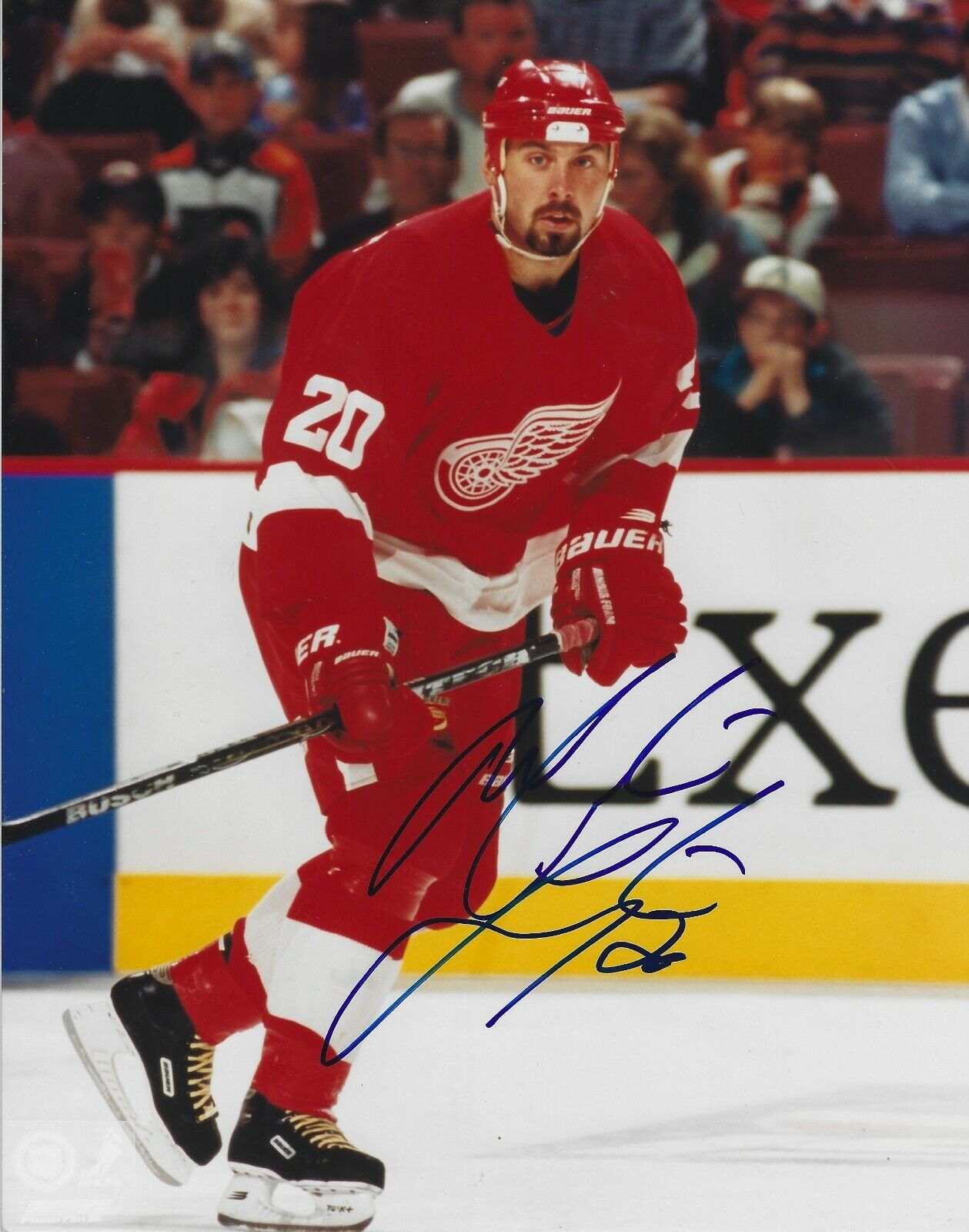 Signed 8x10 MARTIN LAPOINTE Detroit Red Wings Photo Poster painting - COA