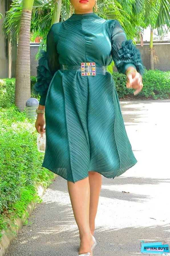 Chic Ruffles Dteail Sleeve Dress
