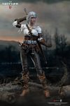 1/6 Scale Movable Cirilla Fiona Elen Riannon - The Witcher 3: Wild Hunt Official Statue - PureArts