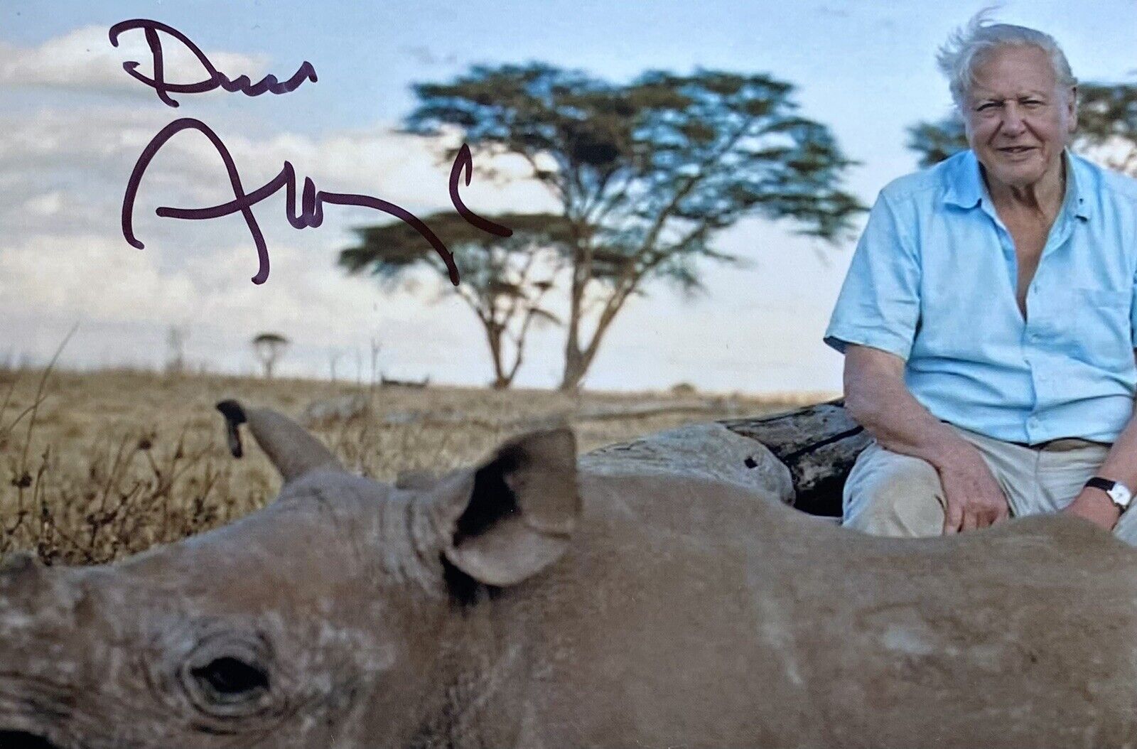 Sir David Attenborough Genuine Hand Signed 6x4 Photo Poster painting 31