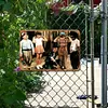Little Rascals - Metal Tin Signs(8*12Inch/12*16Inch)