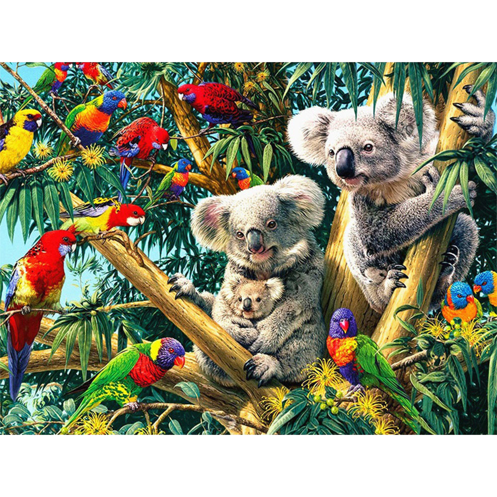 

50*40CM - Square Drill Diamond Painting - Parrot and Koala, 501 Original