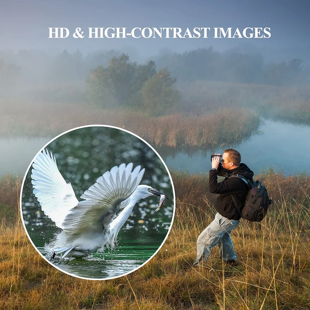 BEBANG 10X50 Binoculars for Adults,Compact Binoculars with Low Light Vision, Powerful Binoculars for Bird Watching Hunting