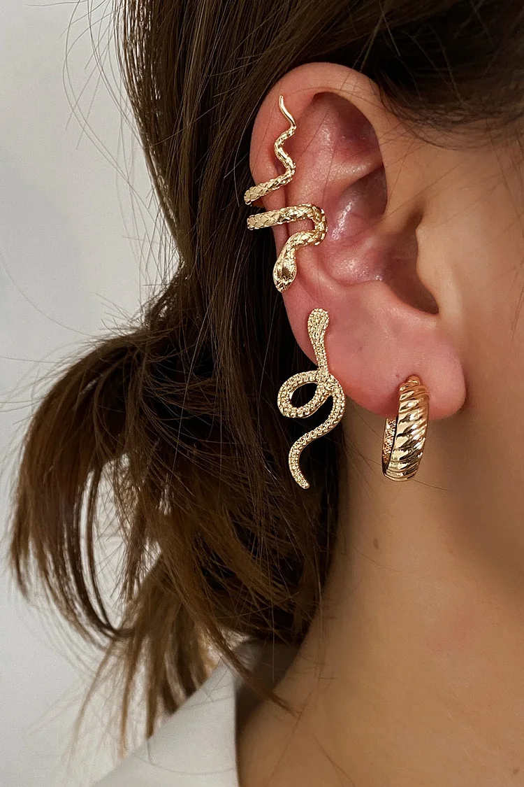 3 Piece Snake Earring Set