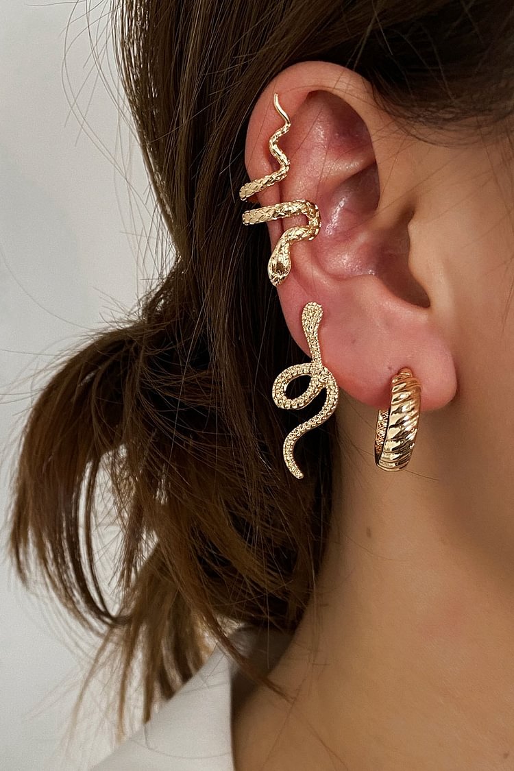 3 Piece Snake Earring Set