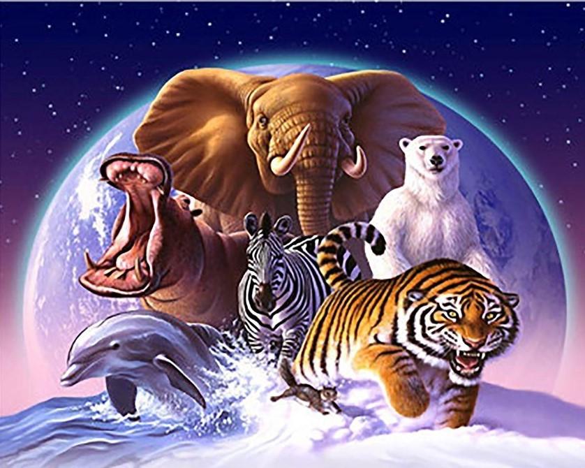

Animals in Space – Paint By Numbers - 40*50CM, 501 Original