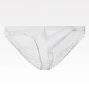 Ultra-Thin Sexy Transparent Mesh Elephant Nose Briefs