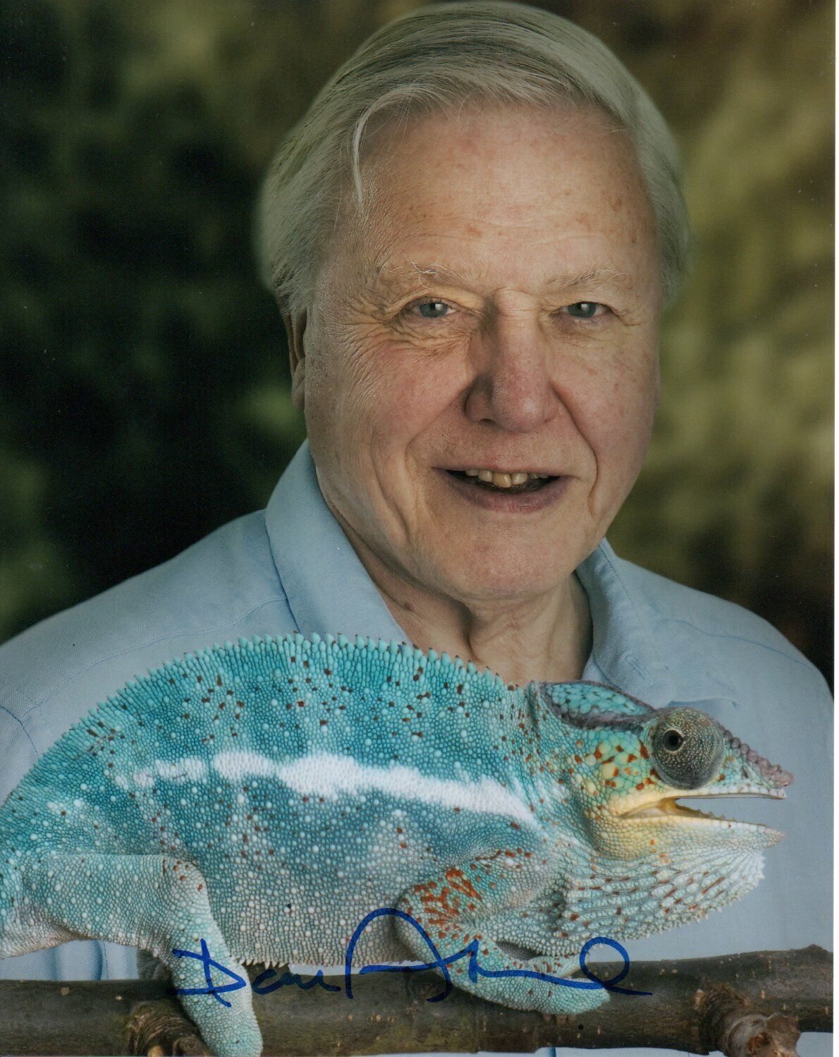 David Attenborough HAND Signed 10x8' Photo Poster paintinggraph Naturalist Broadcaster Autograph