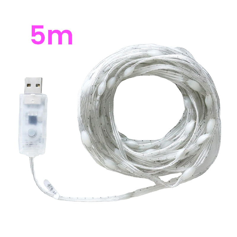 �Colorful Remote Control Lights | 168DEAL