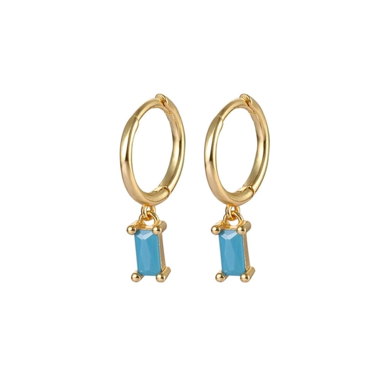 1 Pair White Gold Plated Gold Plated 925 Sterling Silver Zircon Geometric Drop Earrings