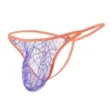 Men's Sexy Mesh Transparent Thong