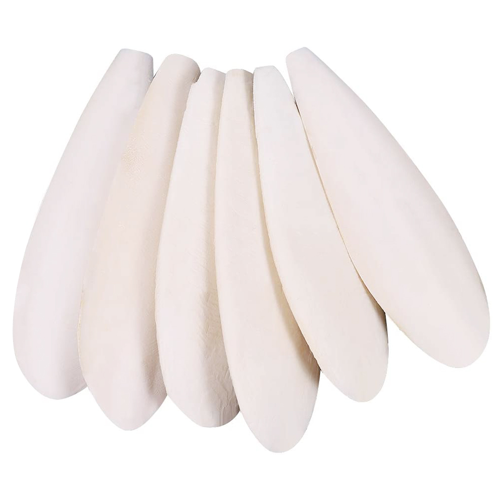 

6pcs Pet Bone Shape Molar Bite Chew Toys Dog Play 10-12cm, 501 Original