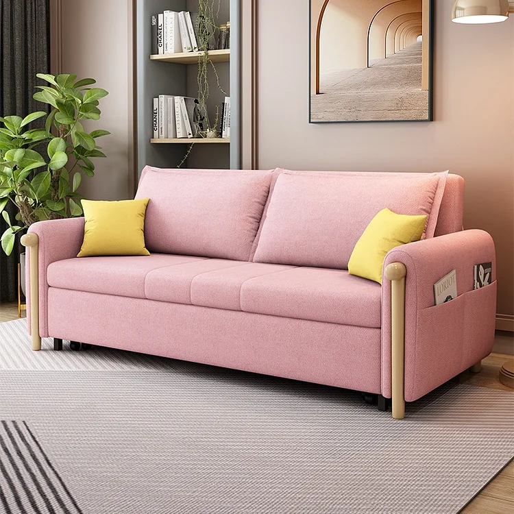 Homemys Luxury Sleeper Sofa Bed, Retractable, Storage Box