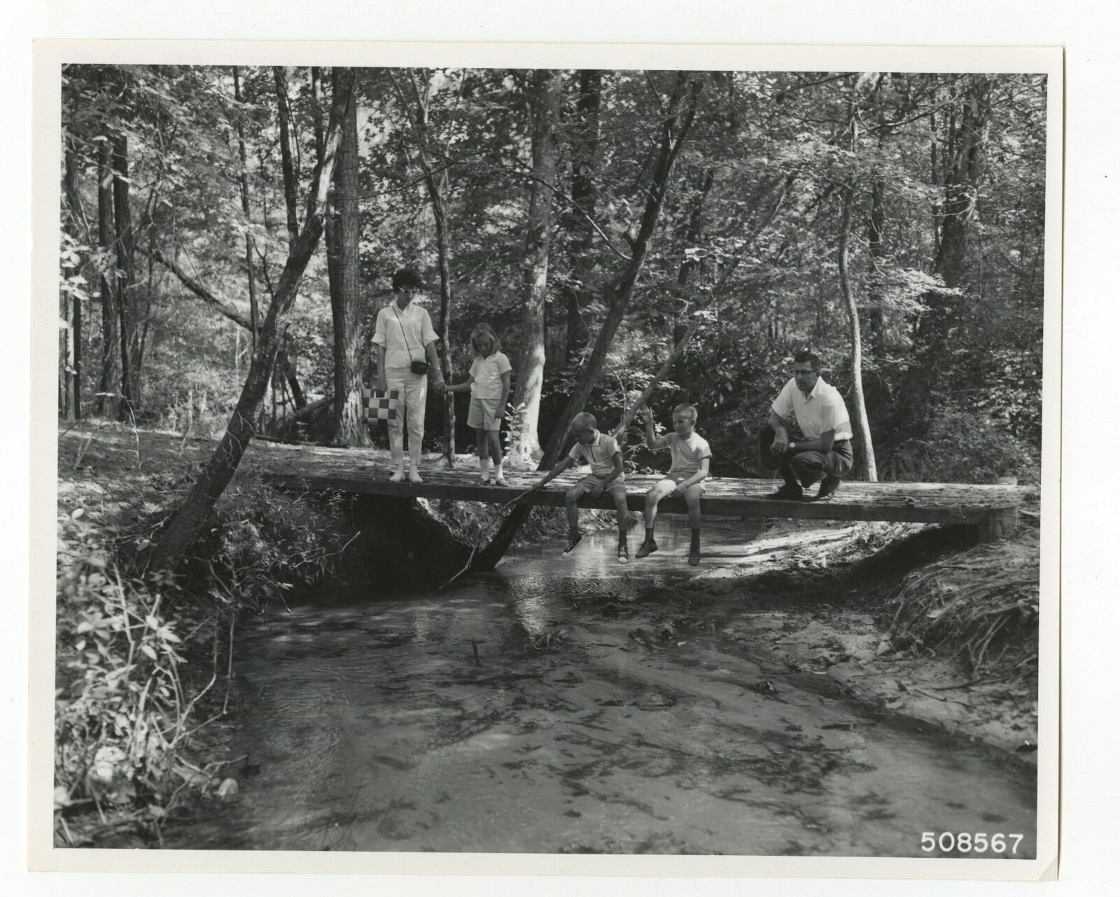 Texas History - Vintage 8x10 Publication Photo Poster paintinggraph - Big Thicket Family Hike