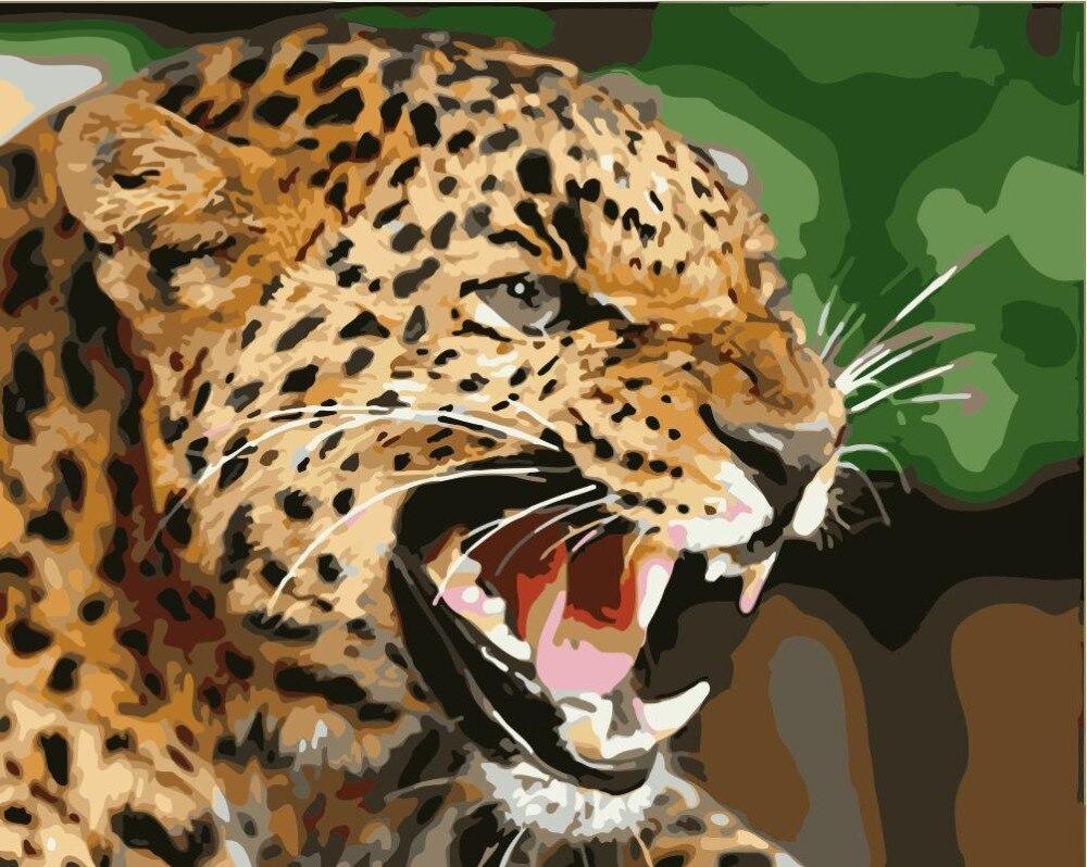 

Predatory Leopard – Paint By Numbers - 40*50CM, 501 Original
