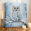 DIY Pearl Painting Owl for Home Wall Decor with Frame(25x25cm)