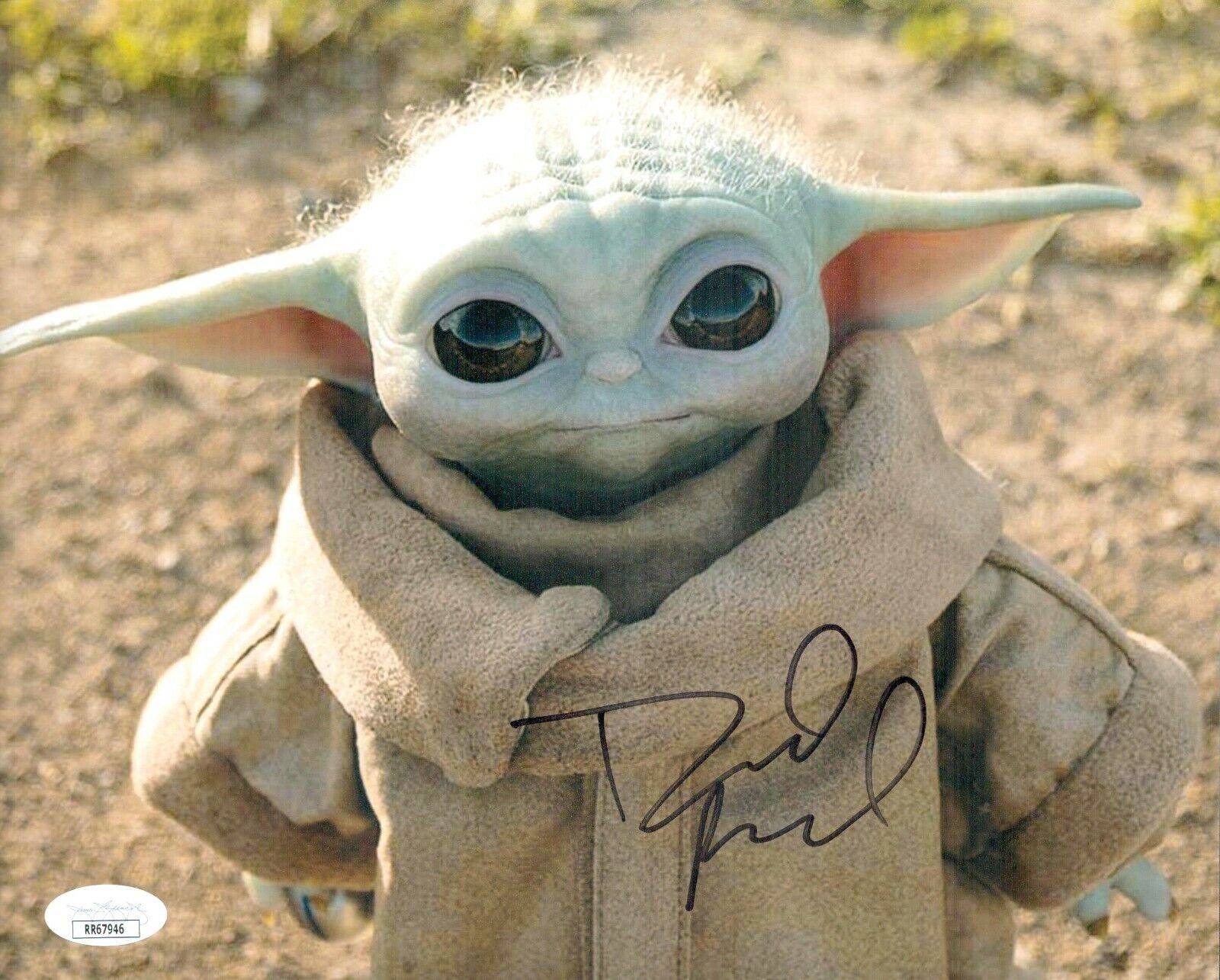 DAVID ACORD Signed 8x10 Mandalorian BABY YODA GROGU Photo Poster painting Autograph JSA COA