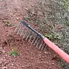 High Carbon Steel Nail Rake Weeding Rake Loose Soil Rake Farm Tools(12 Teeth)
