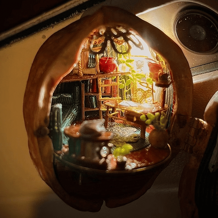 Handmade.🏠Walnut Shell Doll House--mini library, tiny World inside walnuts