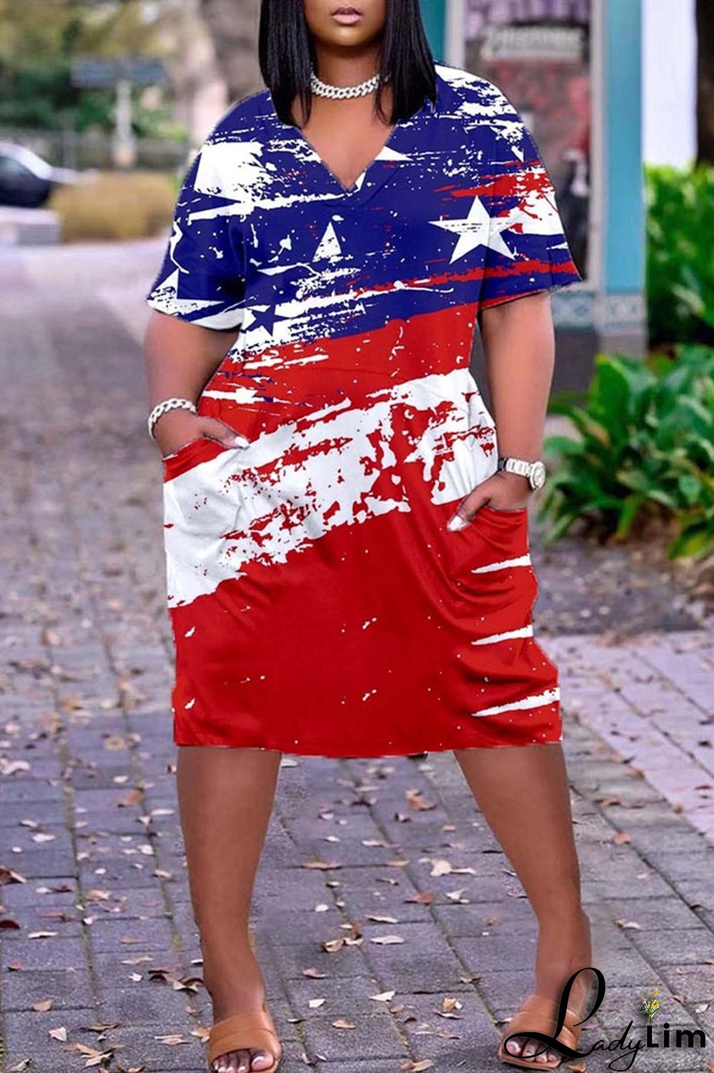 Blue White Fashion Casual Print Basic V Neck Short Sleeve Dress Dresses