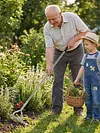Thatch Rakes for Lawns 15.4 Inch Wide Lawn Rake for Leaves and Grass with Long Handle & 11 Curved Tines for Garden Yard Soil Loosening Grass Cleaning