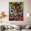 (Big Size)Tiger - 11CT Stamped Cross Stitch - 45*60cm - Animal
