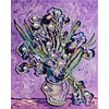 Diamond Painting-DIY Special Shaped Drill Pearl Painting Iris(35x45cm)