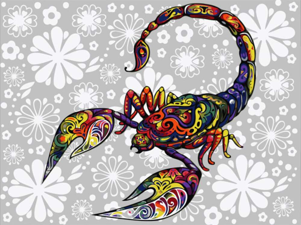 

Scorpion – Paint By Numbers - 40*50CM, 501 Original