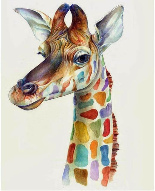 

Funny Colorful Giraffe – Paint By Numbers - 40*50CM, 501 Original