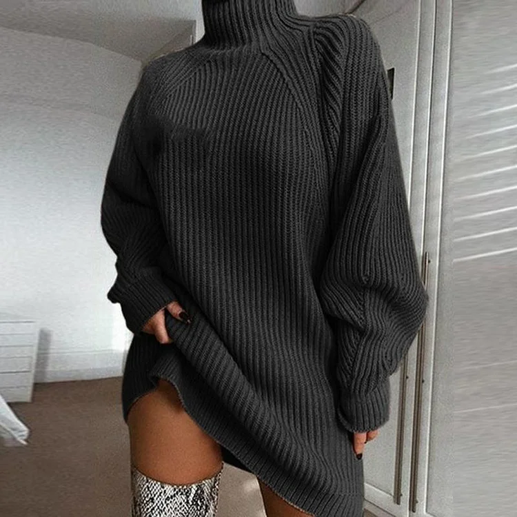 Daily Raglan Sleeves Turtleneck Sweater Dress-mysite