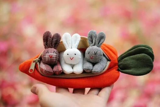 🎁Hot Sale 49% Off🎁 Hide-and-Seek Bunnies in Carrot Pouch 