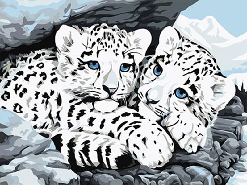 

Blue Eyed Snow Leopard Cubs – Paint By Numbers - 40*50CM, 501 Original
