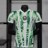 2025 Player Nigeria Soccer Jersey Home