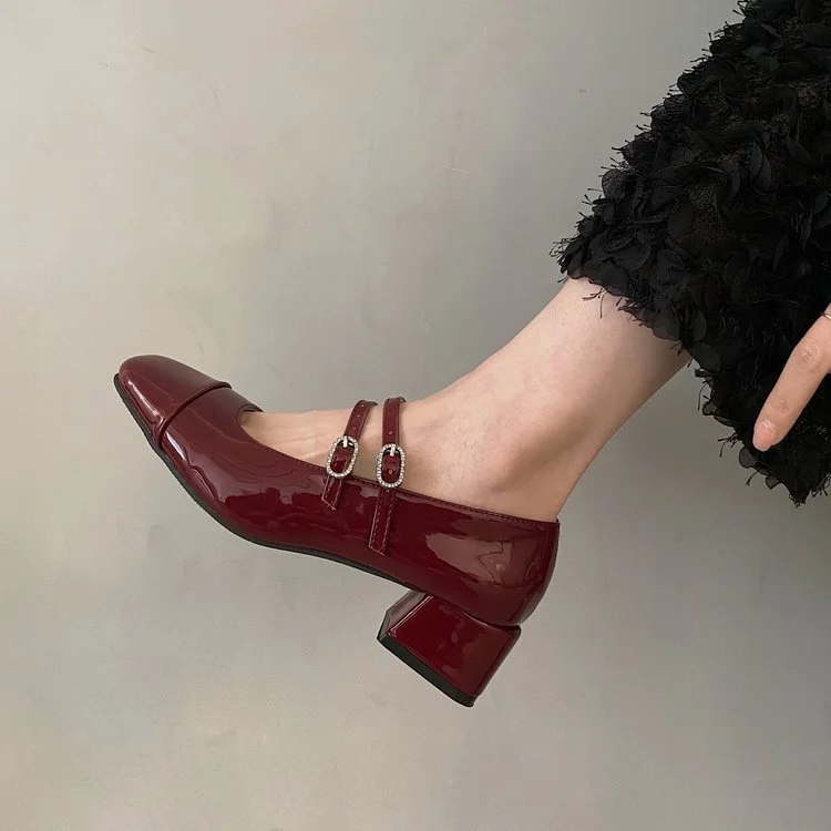 Yyvonne Retro Silver Single-Shoe Women's Coarse Heel 2025 Spring Square Head Light Word With Buckle College Style Mary Jane Shoes