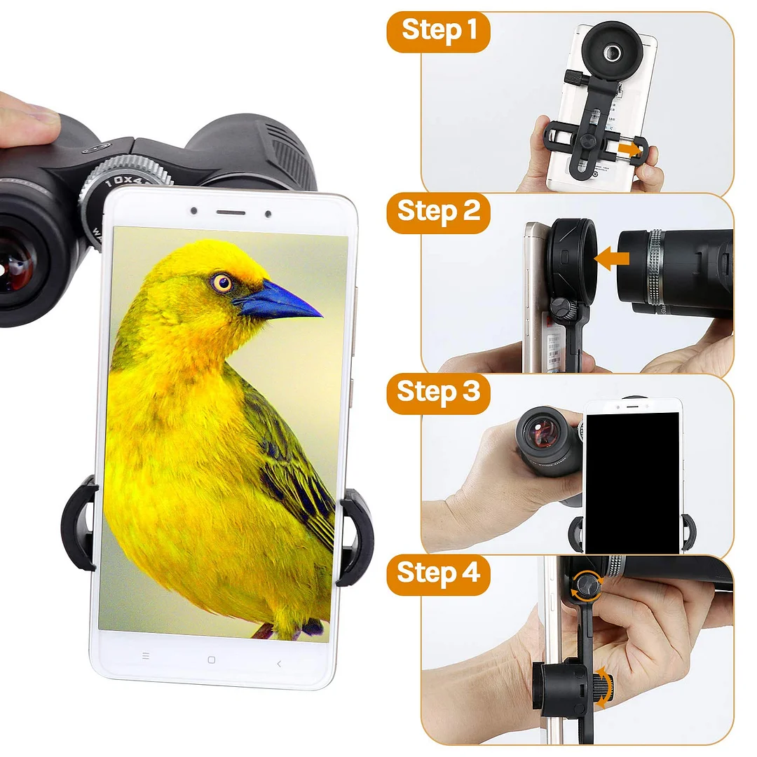 10x42 ED Low Dispersion Binoculars for Adults with FMC BAK4 Roof Prism Waterproof Fogproof Binocular for Bird Watching, Hiking, Hunting, Concerts,Opera,Sports- with Phone Mount