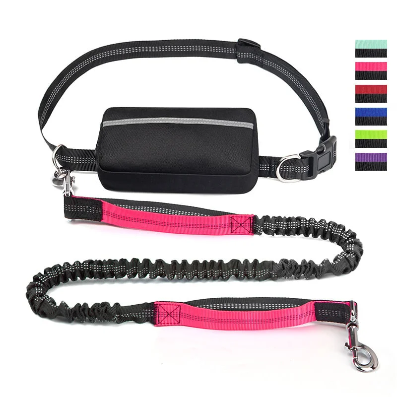 Hands Free Dog Leash