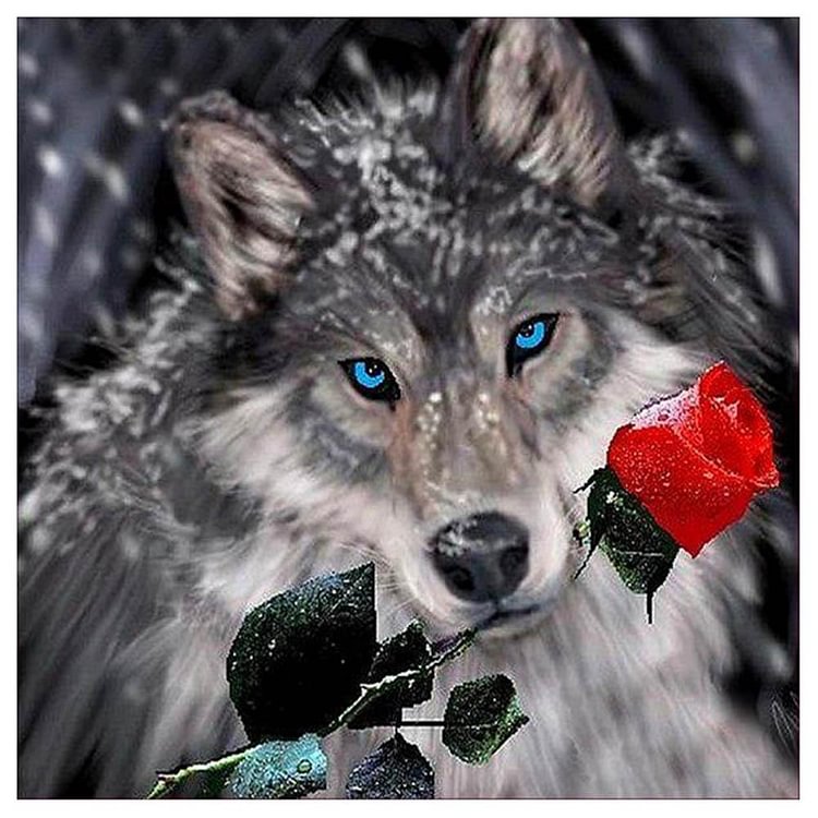 Peinture de diamant - plein rond - loup rose