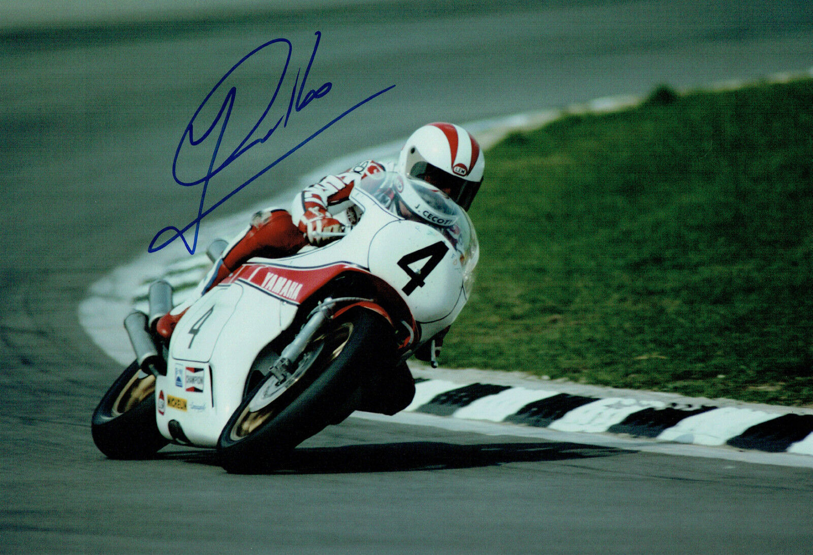 Johnny CECOTTO SIGNED Autograph 12x8 Race Photo Poster painting AFTAL COA Misano ITALY
