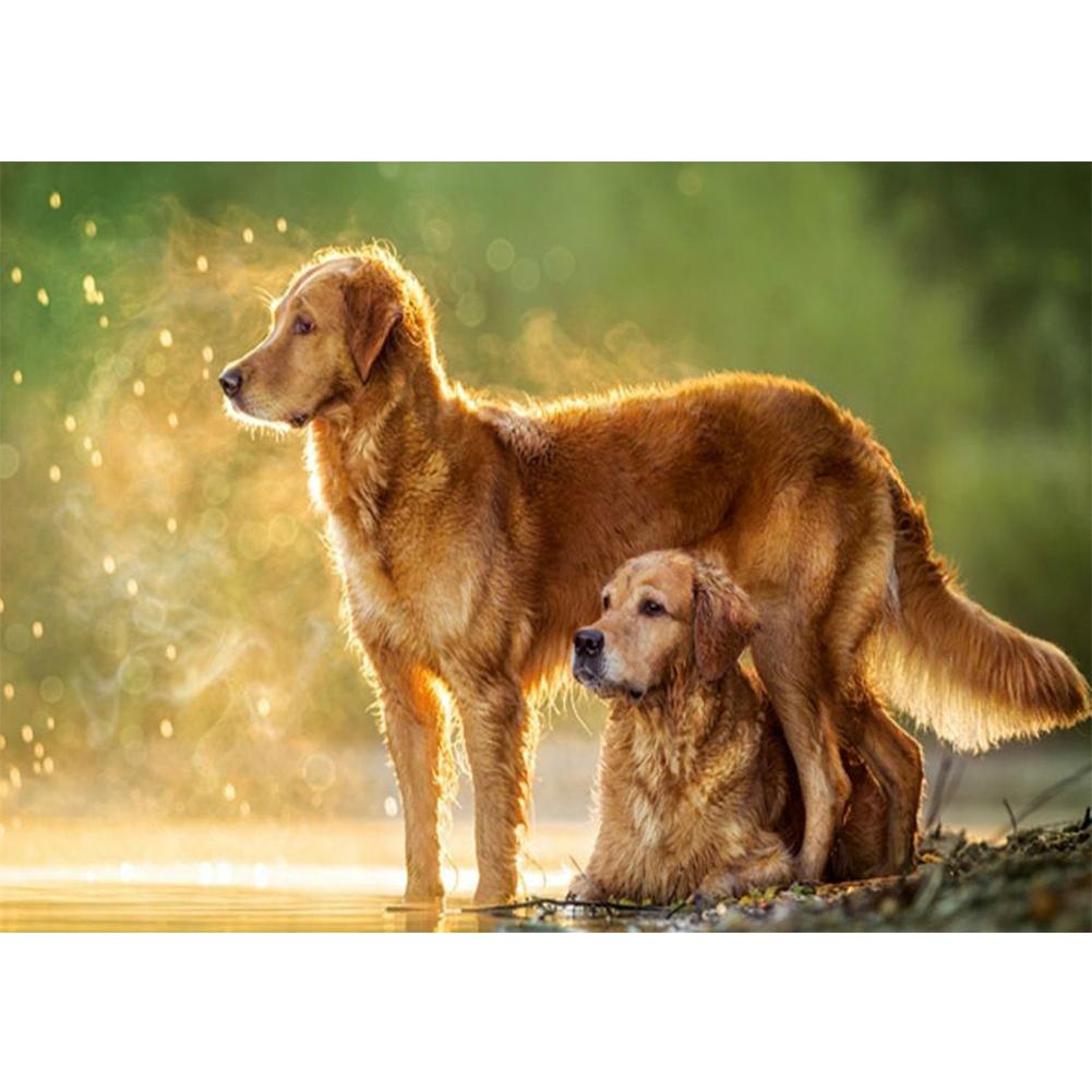 

40*30CM-Round Drill Diamond Painting-Dogs by The River, 501 Original