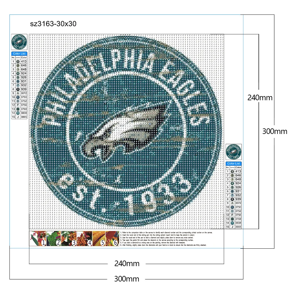 Diamond Painting - Full Round Drill - Philadelphia Eagles(Canvas|30*30cm)