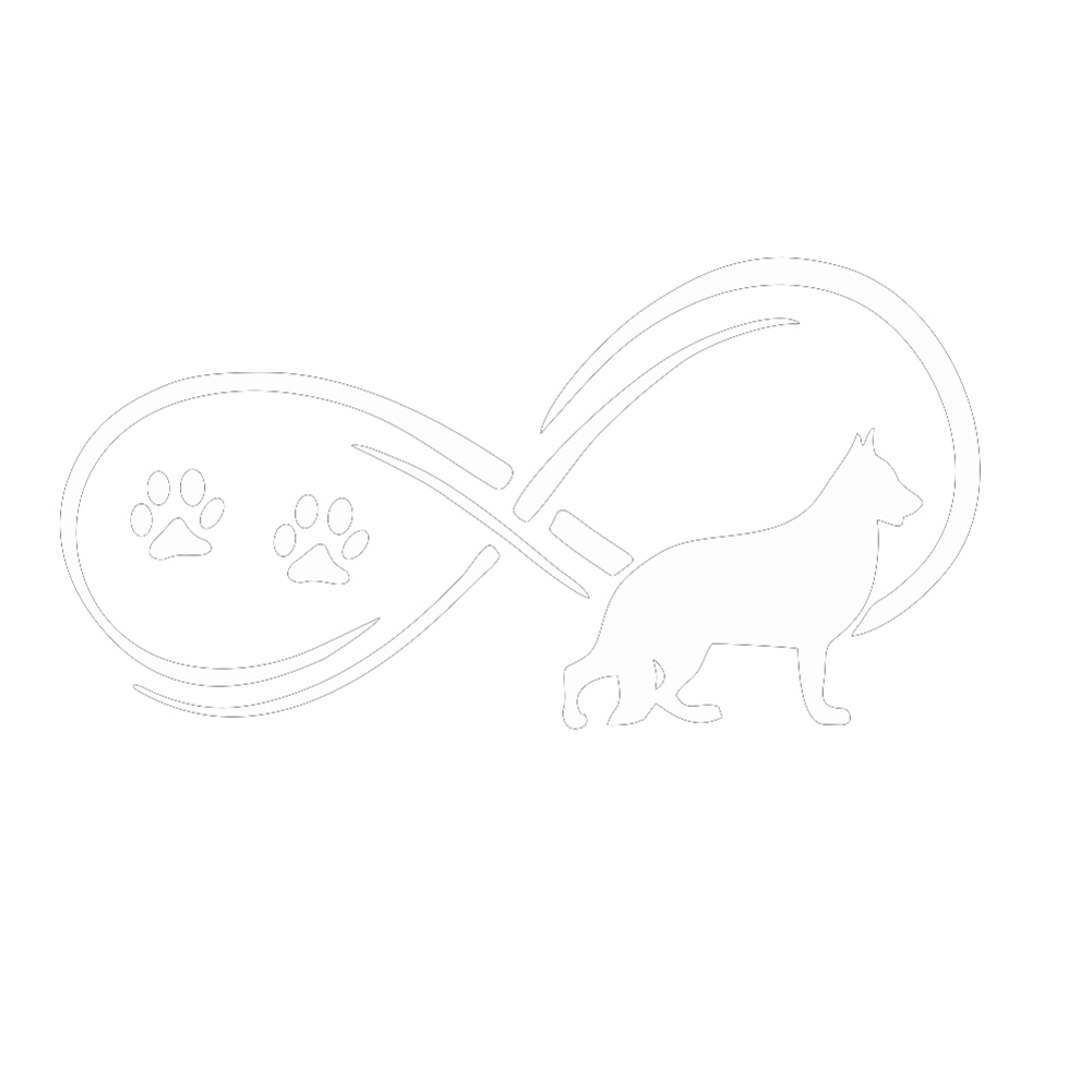 

Dachshund Dog Car Styling Stickers Vinyl Decals Window Graphics (White), 501 Original